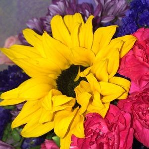 Meet your Posher, Monica